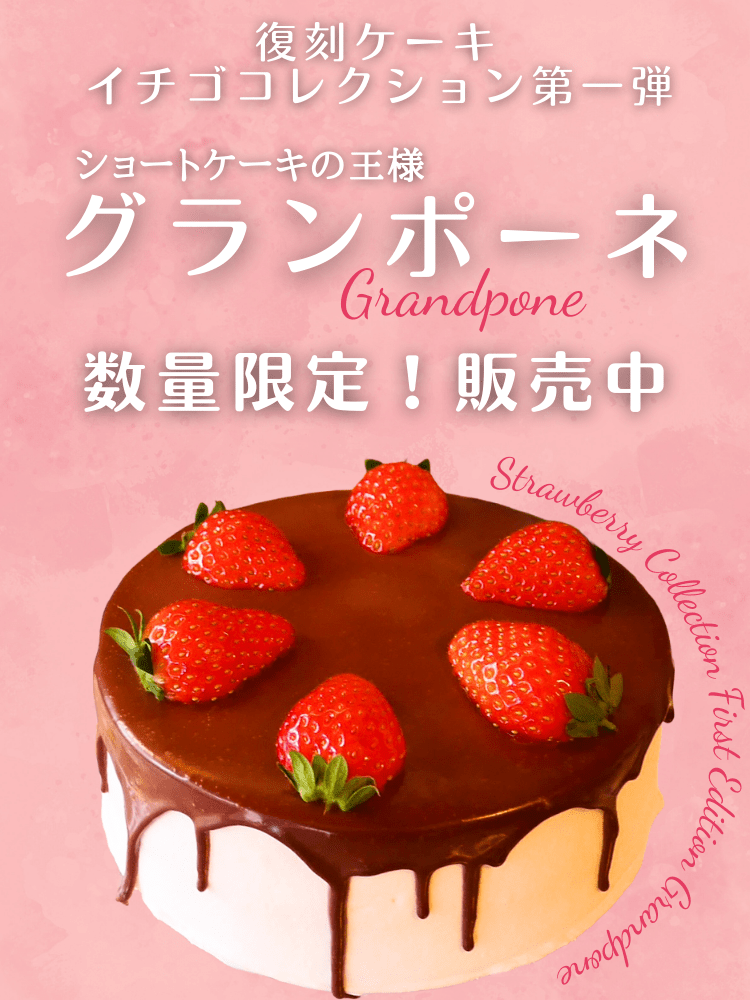 BASEL DELIVERY SERVICE